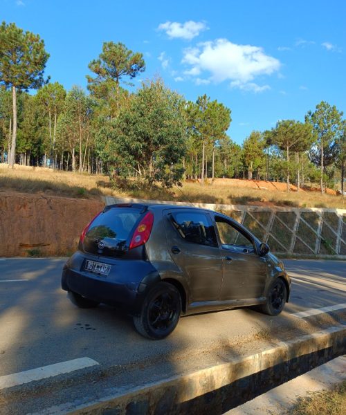byd3